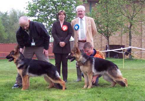 100b0300.jpg (25682 bytes)