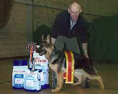 bestpuppy04.jpg (7478 bytes)