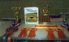 moreawards04.jpg (15147 bytes)